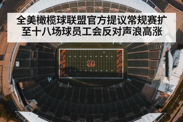 全美橄榄球联盟官方提议常规赛扩至十八场球员工会反对声浪高涨